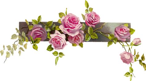 Download Flower Border Vintage Rose Border Clipart Clipart Kid - Border Vintage Flowers Png ...