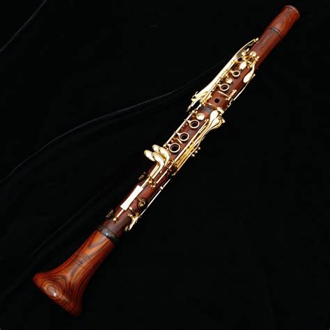 New Backun Model F Professional Clarinet Cocobolo Wood With Gold