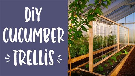 I used my own design for the planters and my family was thrilled with the end result. DIY Cucumber Trellis - YouTube