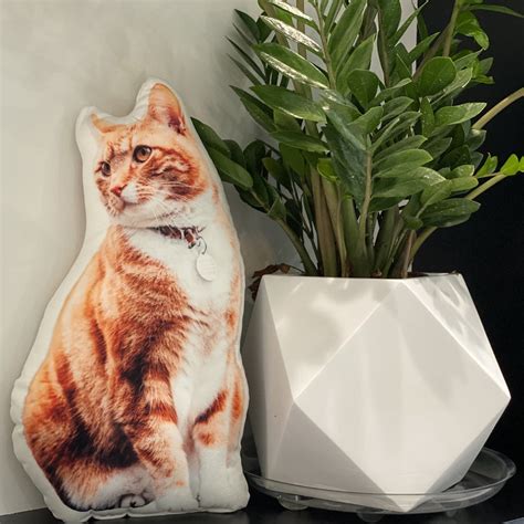 Custom Shaped Cat Pillow Made In Usa All About Vibe