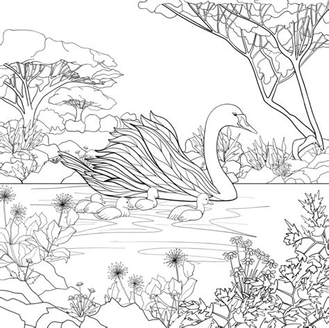798 Simple Swan Coloring Page With Disney Character Coloring Pages