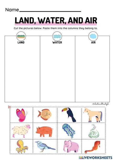 Animals That Live On Land Air And Water Worksheet Preschool