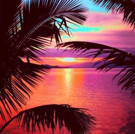 Amazing Tropical Sunset Pictures Photos And Images For