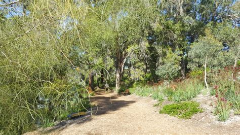 3 Easy Walks In Perth