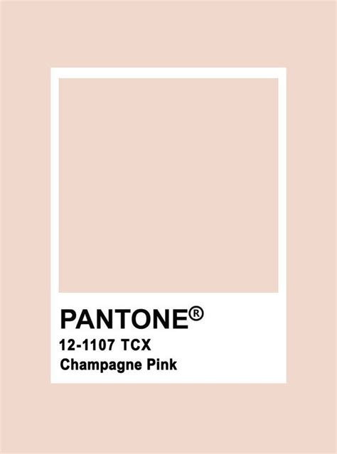 Champagne Pink Pantone Color Palette Pink Blush Color Palette