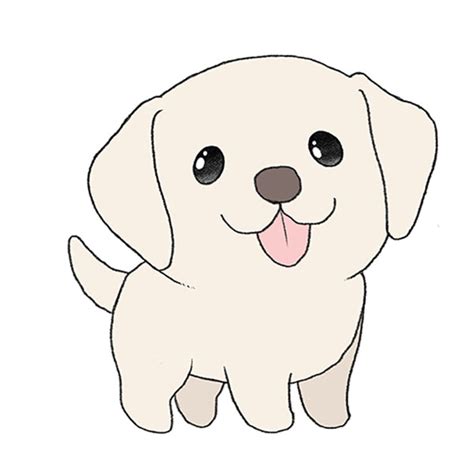 How To Draw A Labrador Easy Drawing Tutorial For Kids