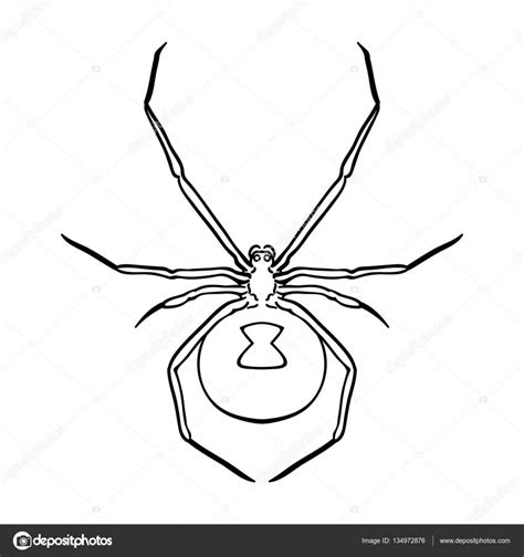 Aranha Widow Silhueta Colorir Spiders Araignee Redback Designlooter