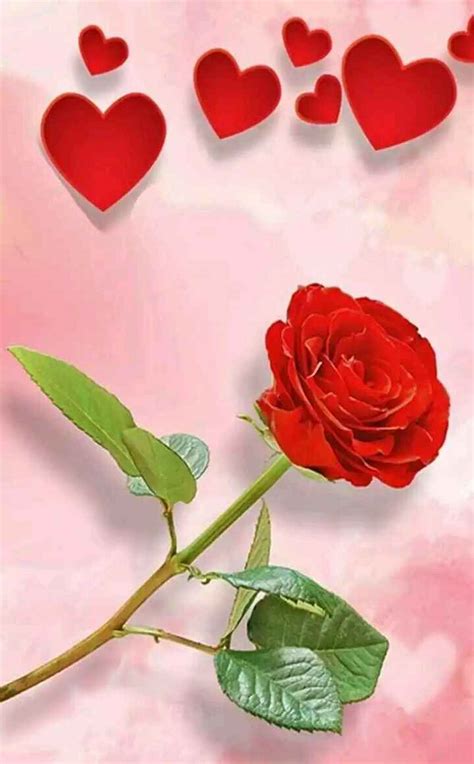 Maybe you would like to learn more about one of these? Share Chat Heart Images Dp Tamil | Webphotos.org