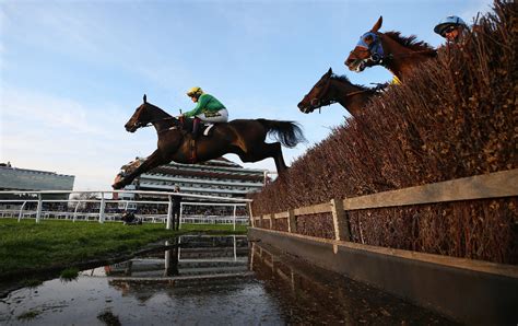 What Is A Steeplechase Race In Horse Racing Paddy Power News