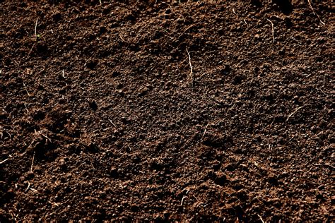 The dirt dug out of the ditch is mounded across the road on the downgrade side, making a bump which blocks the water from i don't even want to guess how many rocks we've gotten rid of this way. The meaning and symbolism of the word - «Dirt»