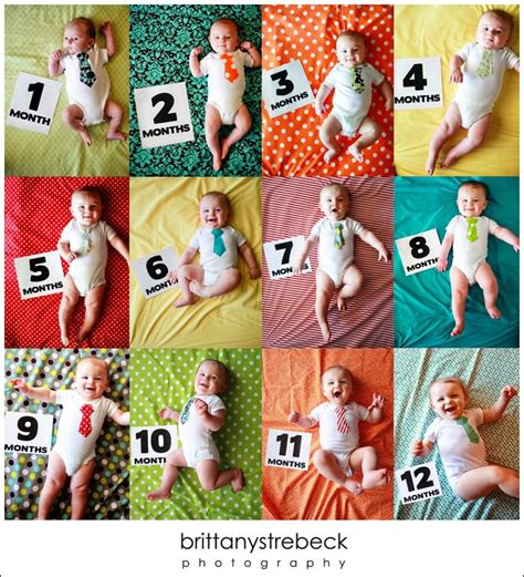 photo a month on colorful fabric produtos para recém nascidos fotos de bebês ideias para