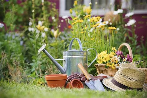 10 Experiences Of The Happy Gardener