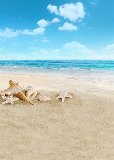 10ft Vinyl Cloth Sea Beach Blue Sky Starfish Holiday