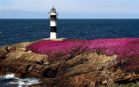 Lighthouse And Flowers Wallpapers Wallpaper Cave