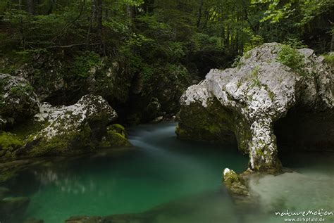 Bergbach Mit Bizarren Steinformationen Grünes Wasser Tal Der Mostnica