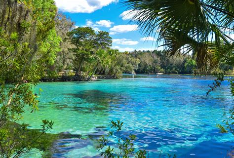 Discover 48 cabins to book online direct from owner in ocala national forest, marion county. Ocala National Forest travel | Florida, USA - Lonely Planet
