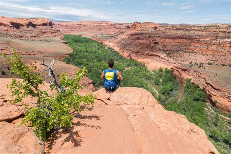 Golden Cathedral Hike Utah Grand Staircase Escalante Great American