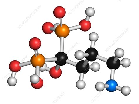 Alendronic Acid Osteoporosis Drug Stock Image F0111442 Science