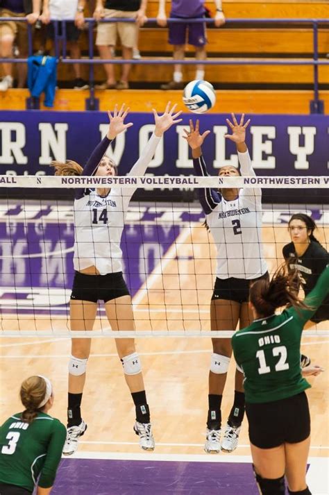 Volleyball Wildcats Winning Streak Ends With Loss To Badgers