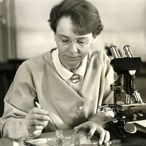 Compare sanskrit बर्बर (barbara, barbarian). Biographie | Barbara McClintock | Futura Santé