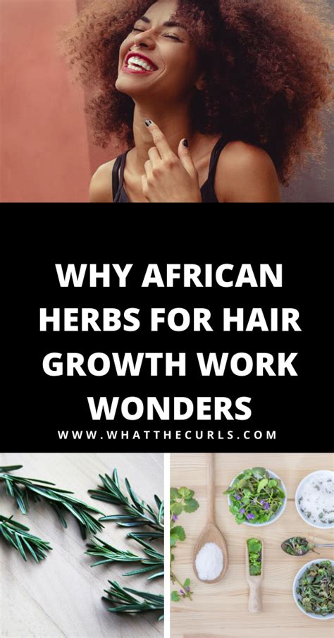 Why African Herbs For Hair Growth Work Wonders What The Curls Herbs