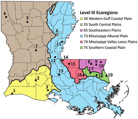 Level Iii Ecoregions In Louisiana And Collection Locations See Table 2