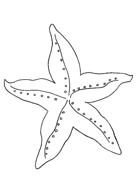 Desenhos De Estrelas Do Mar Para Colorir Pintar E Imprimir