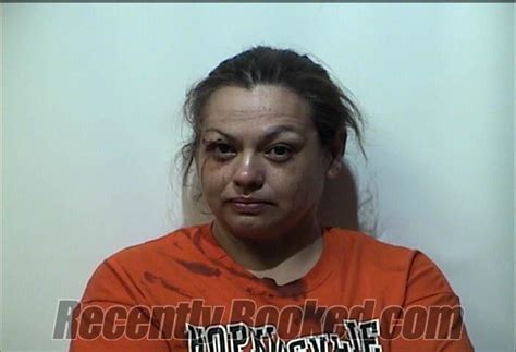 Recent Booking Mugshot For Misty Gail Harris In Christian County