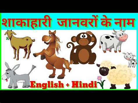 Vegetarian animals name in Hindi and English || शाकाहारी जानवरों के नाम