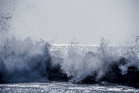 Large Wave Crashing Free Stock Photo Public Domain Pictures