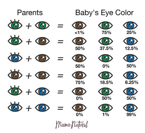 Asian Eye Color Chart Fascinating And Unusual Facts About Green Eye