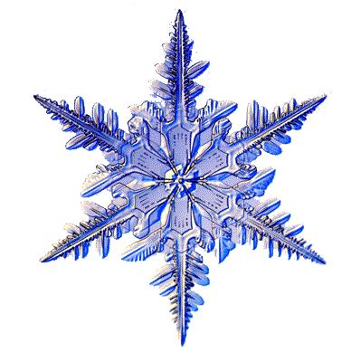 Snowflake Icon Gif