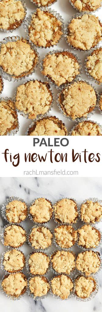 Easy Paleo Fig Newton Bites Vegan Rachlmansfield
