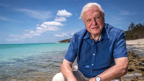 Review David Attenborough A Life On Our Planet Redbrick Film