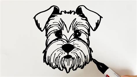 How To Draw A Miniature Schnauzer Dog Youtube