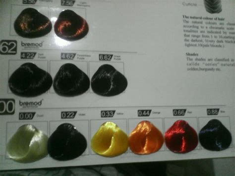 Looking for shades of brown in a hair color chart that's easy to read? ABIDER SalonSupplies on Twitter: "Bremod Hair color 55.00 ...