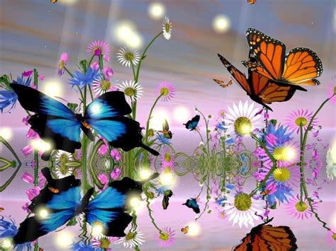 50 Free Animated Butterflies Desktop Wallpaper