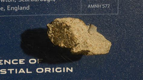Historic Meteorites On Display American Museum Of Natural History