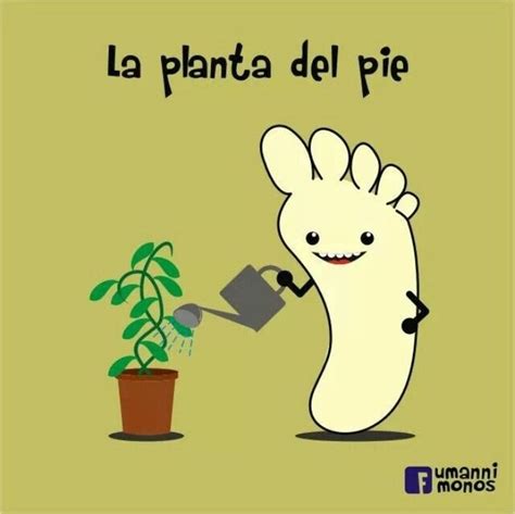 Funny Spanish Puns That Make You Laugh While You Learn