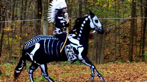 Halloween Horse Costumes Youtube