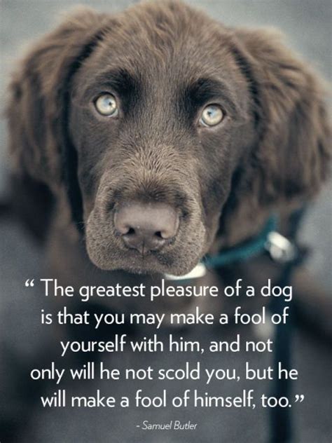40 Dog Quotes That Will Make Your Heart Melt Dog Best Friend Quotes