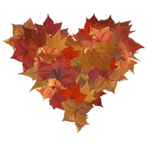 Autumn Leaves Heart Shape By Cienpies Vectors And Illustrations With