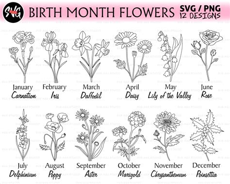 Birth Month Flower Svg Birth Month Flower Clipart Birthday Etsy Sexiz Pix