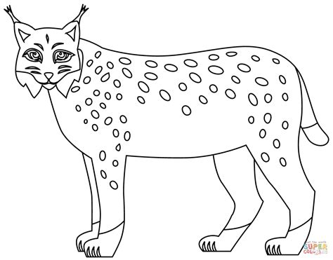 Bobcat Coloring Page Free Printable Coloring Pages Free Printable