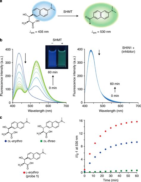 Fluorescent Probe Targeting Hshmt A Schematic Illustration Of Hshmt