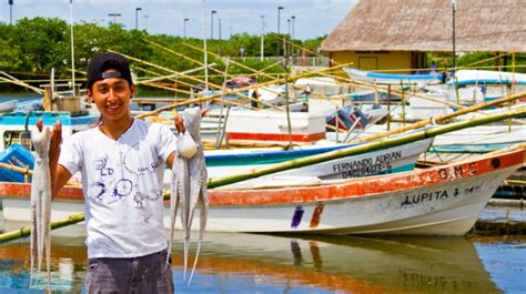 Preocupante Comienzo De La Pesca De Pulpo En Yucatán La Verdad Noticias