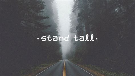 Voil Stand Tall Youtube