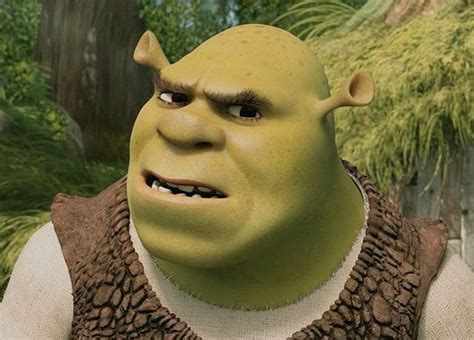 Shrek Confused 💚 In 2023 Shrek Confused Face Meme Faces