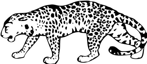Jaguar Clipart Outline Jaguar Outline Transparent Free For Download On