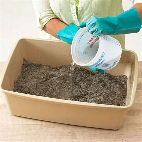 You can place them indoors or use them in # diy concrete planter. Pin by Maria Barrientos on garden | Hypertufa, Plant ...